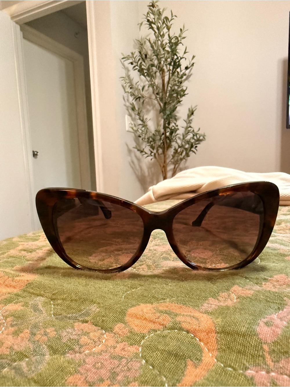 Balenciaga Tortoiseshell Cat-Eye Sunglasses - Brown Lenses